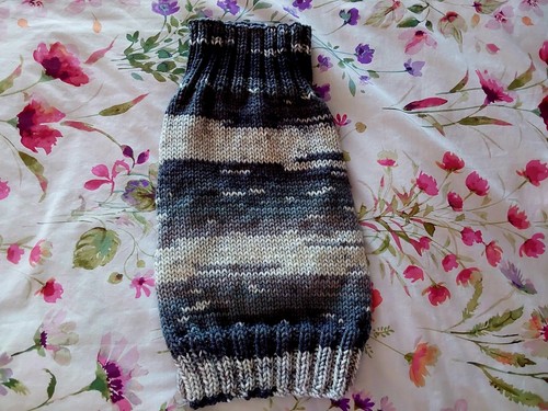 Hand knitted dog - knitted, jumper.