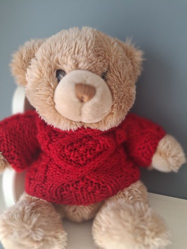 Teddy bear clothes hand - teddy,