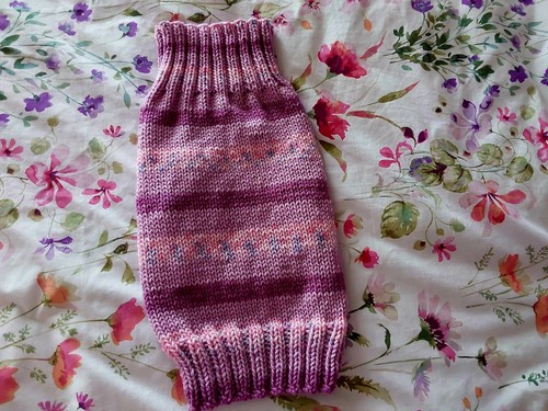 Hand knitted dog - knitted, m/l